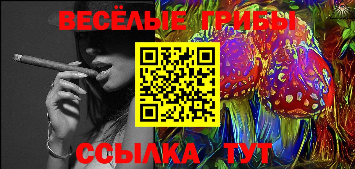 Галлюциногенные грибы Psilocybe  Вход с VPN  Галлюциногенные грибы Psilocybine cubensis  Верхняя Салда 