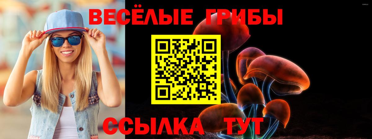 Псилоцибиновые грибы Psilocybine cubensis Верхняя Салда